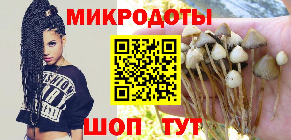 Галлюциногенные грибы GOLDEN TEACHER Сергиев Посад